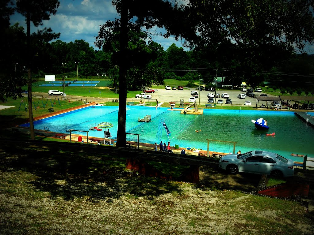 Pearce Pool in Jackson, Alabama by leigh49137