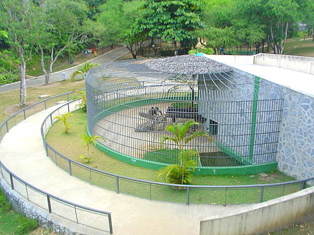 Zoológico de Aracaju no Parque da Cidade by TitoGarcez