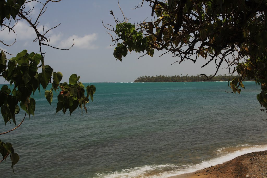 Mar de la Tranquilidad-Patillas by Ricardo David Jusino