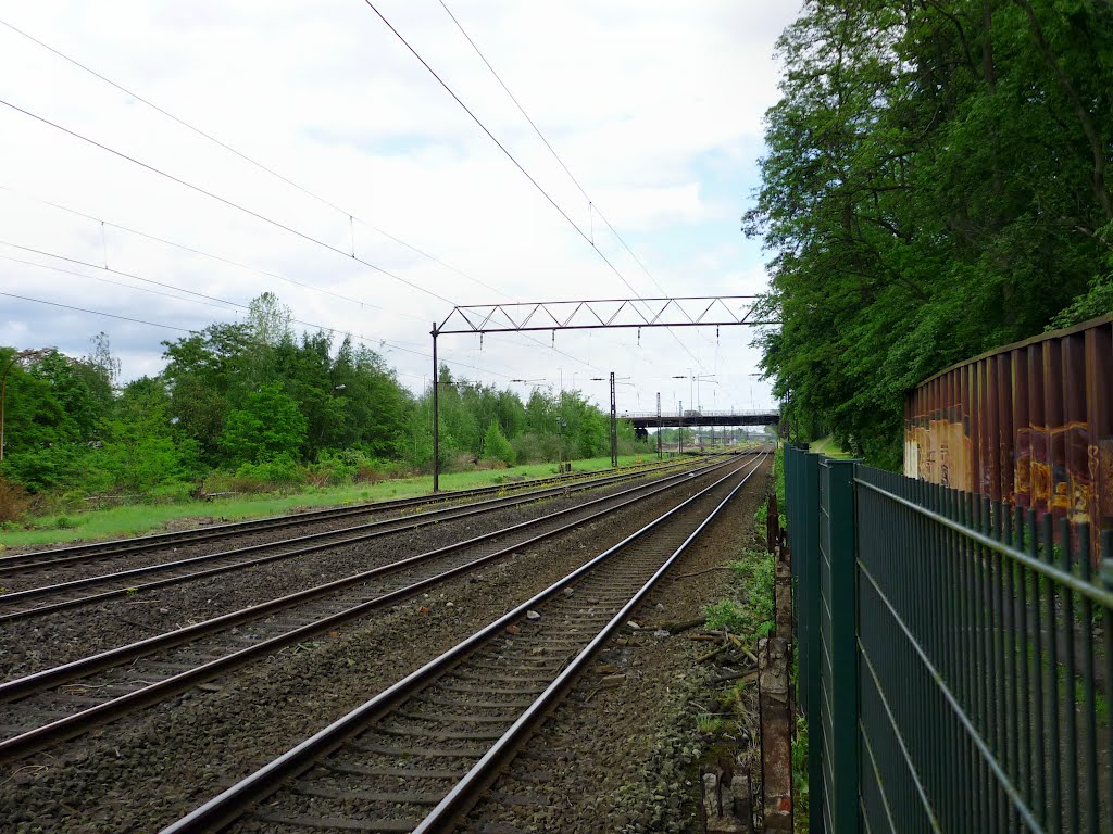 An der Köln-Mindener Eisenbahnstrecke (Oberhausen) / 12.05.2012 by Iceman93 / NO VIEWS!!!