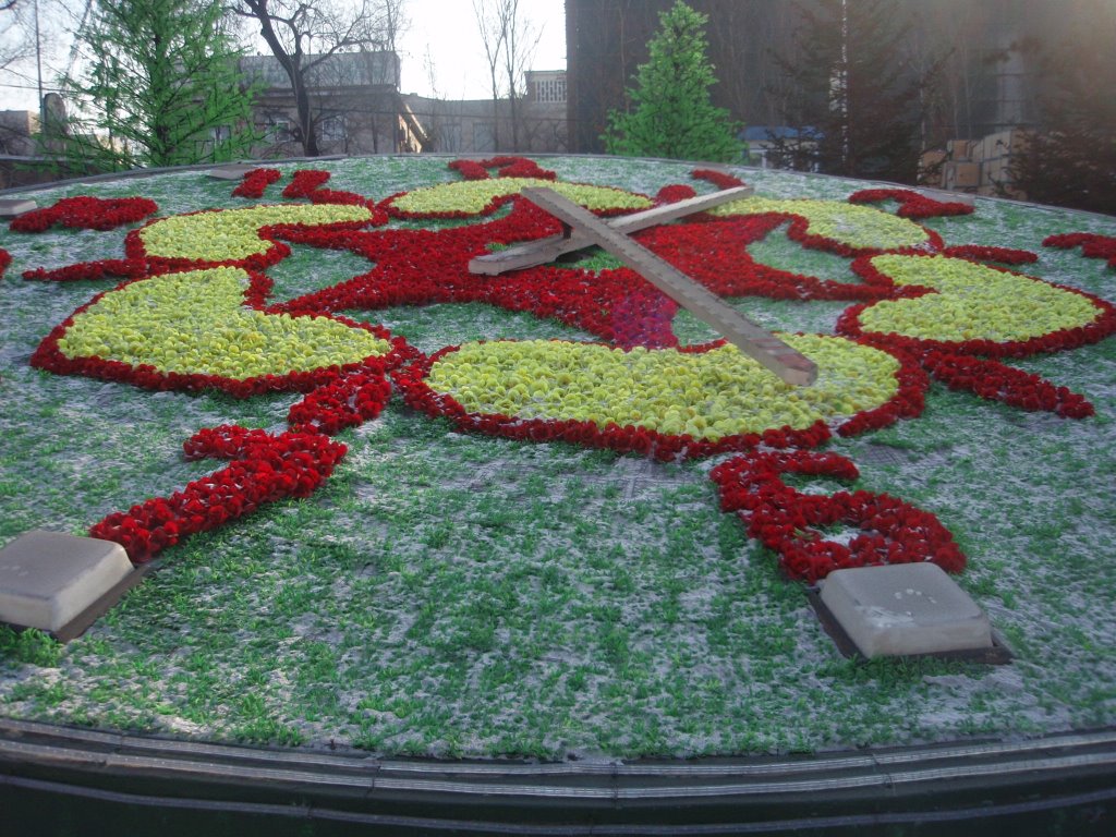 Flower Clock by RC-EagleEye