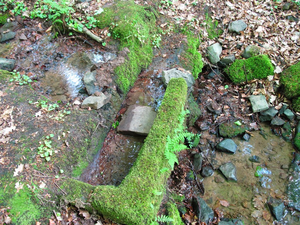 Alte Viehtränke (Dürrbach) an einem alten Handelsweg der vom Maintal bzw. der Freudenburg auf die Höhe führte by lebola