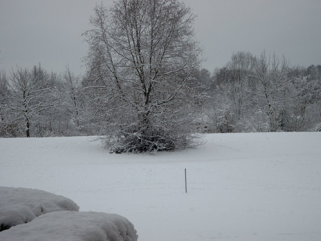 Park Eggersweide im Schnee by Andreas Zülsdorf