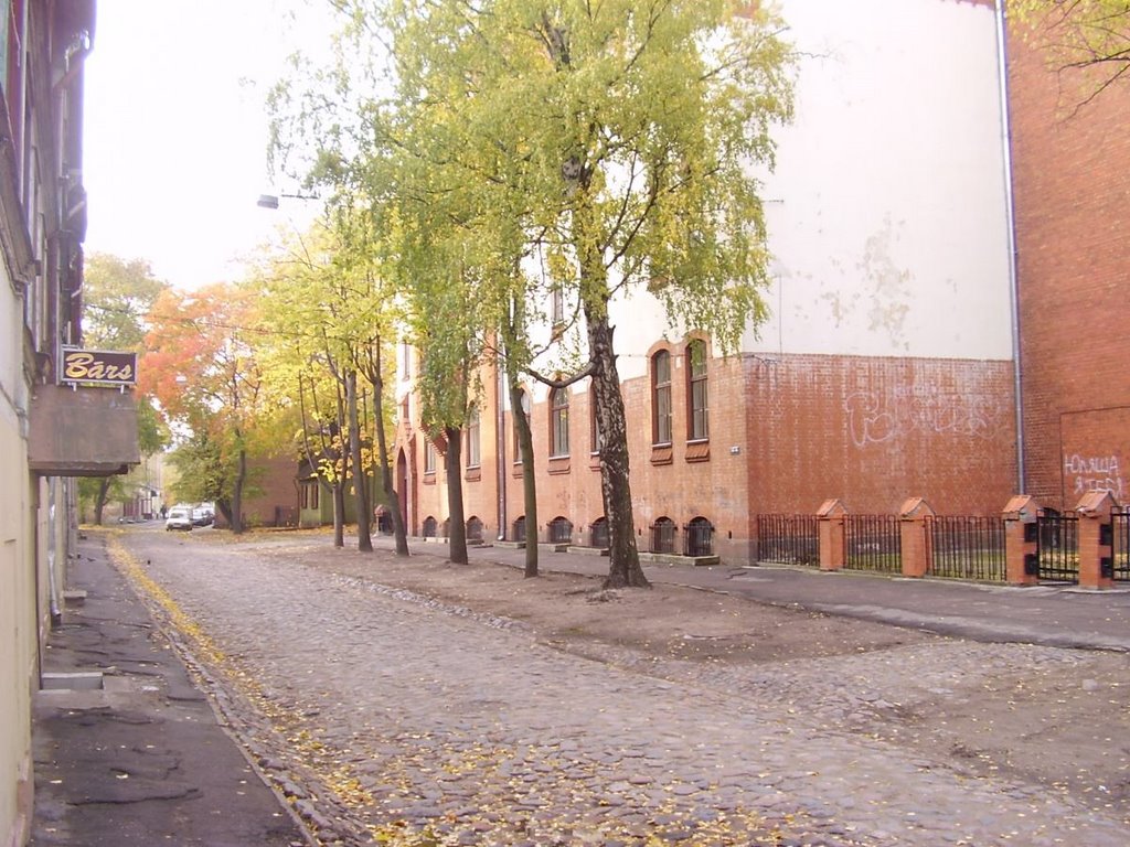 Pardaugava, Zelu street by Vladimir Gaevsky