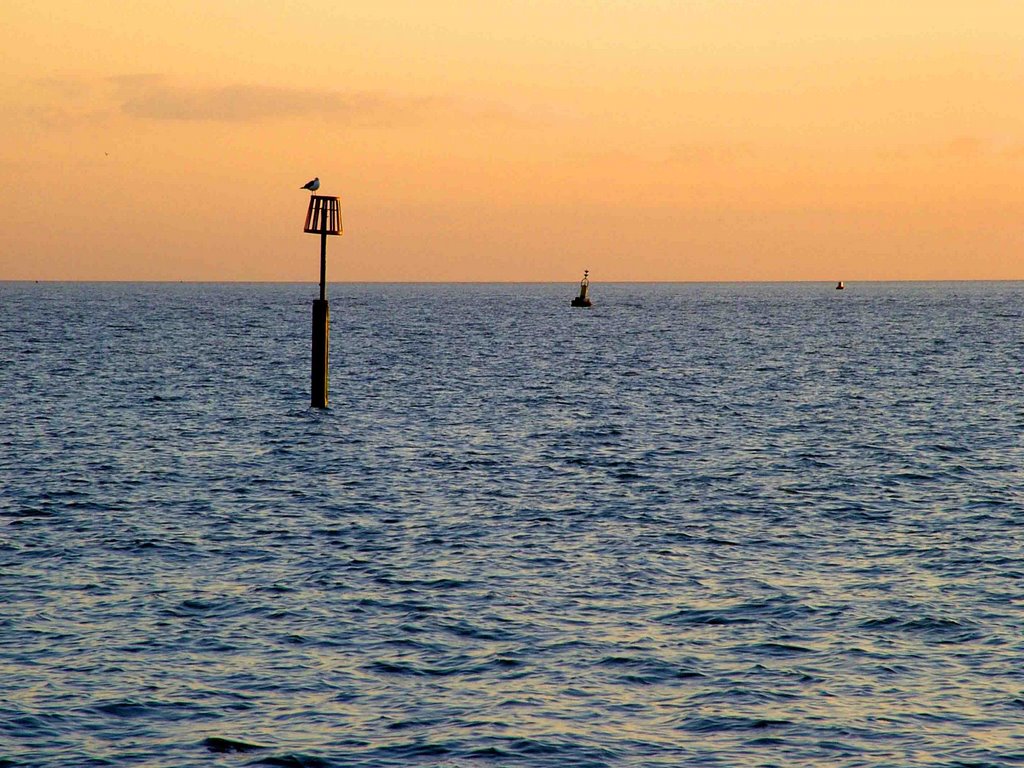 Groyne marker 1 by davidl65