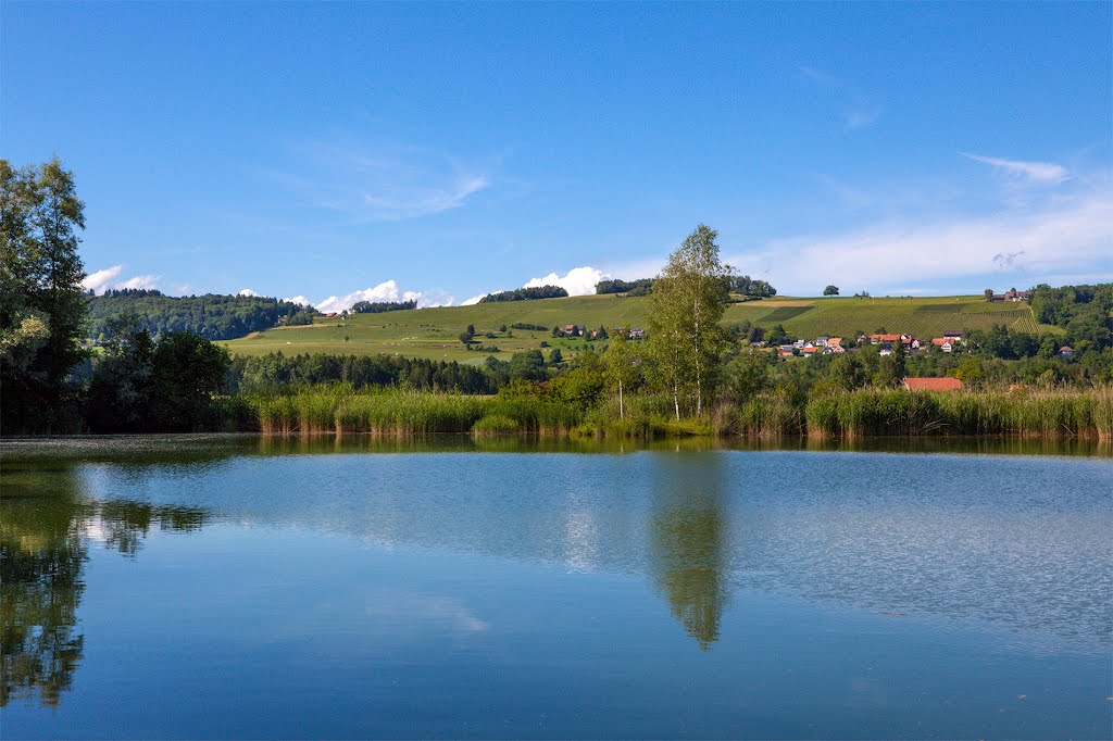 Heerti_Weiher_Naturschutzgebiet by MaCello