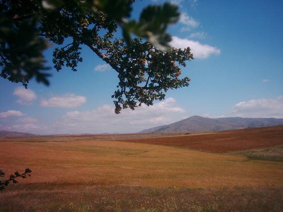 58500 Kaleköy/Yıldızeli/Sivas, Turkey by Erhan Cankurtaran