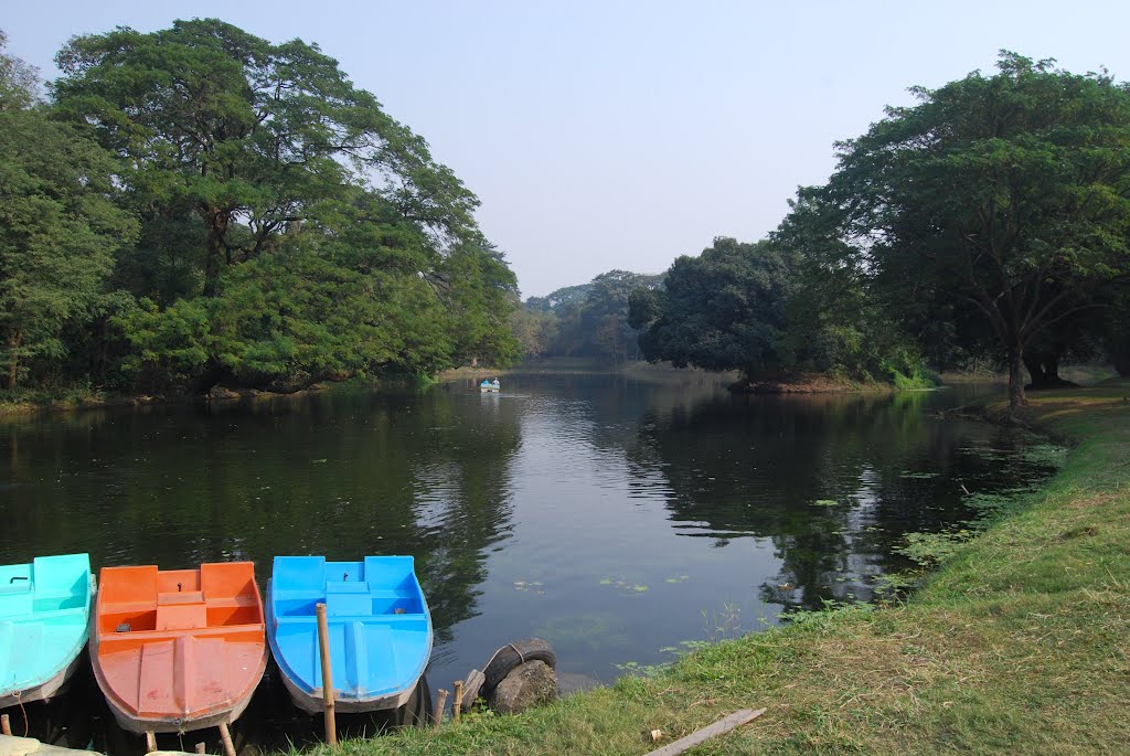 Botanical Garden-Shibpur by Jayanta Nath