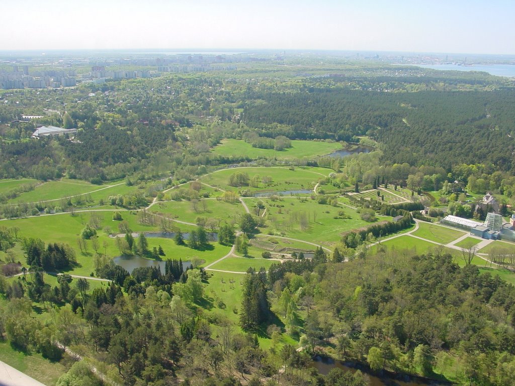 View from tover to botanical garden by Pekka Pohjolainen