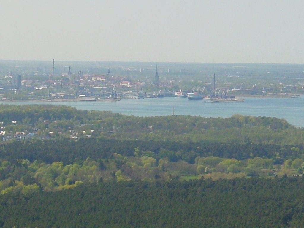 View from tover to harbour by Pekka Pohjolainen