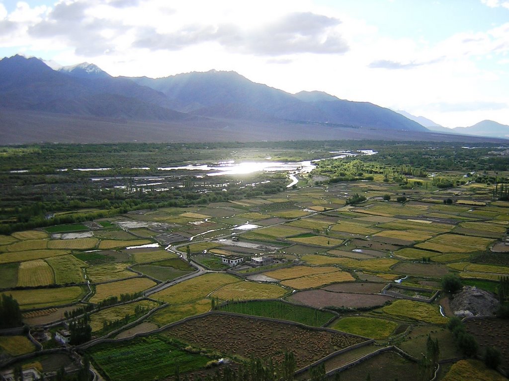 Thiksey Gompa - panorama by maresa maremagna