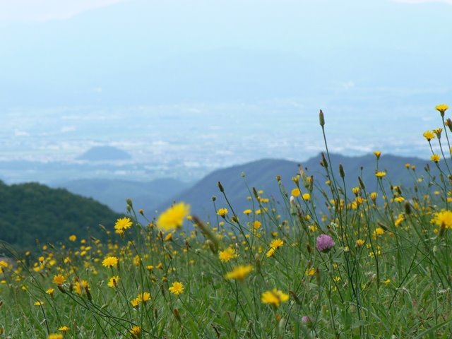 天童高原 Tendo-Kogen Highland by Tomofumi Sato