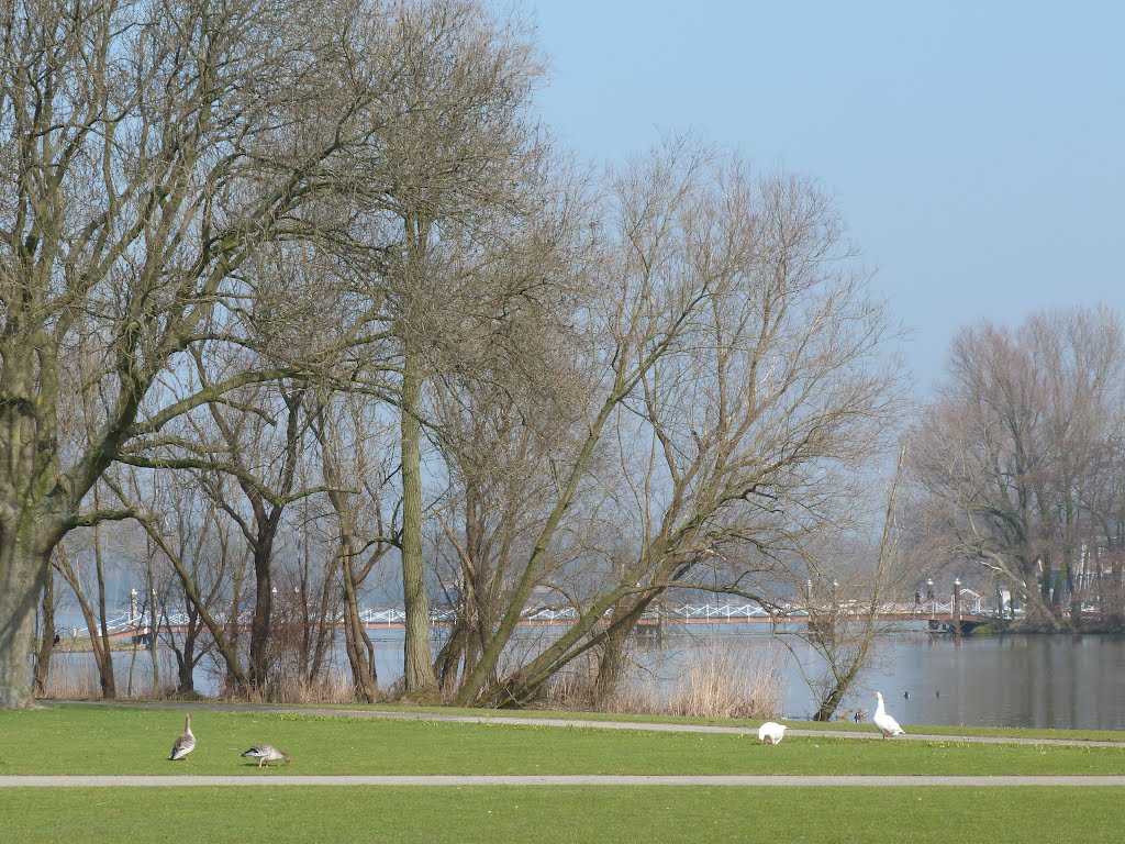 Kralingse Plas by stevenvanValen+hannekeRolloos