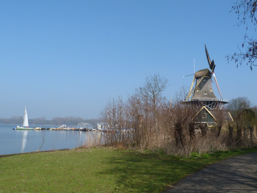 De Ster/Kralingse Plas by stevenvanValen+hannekeRolloos