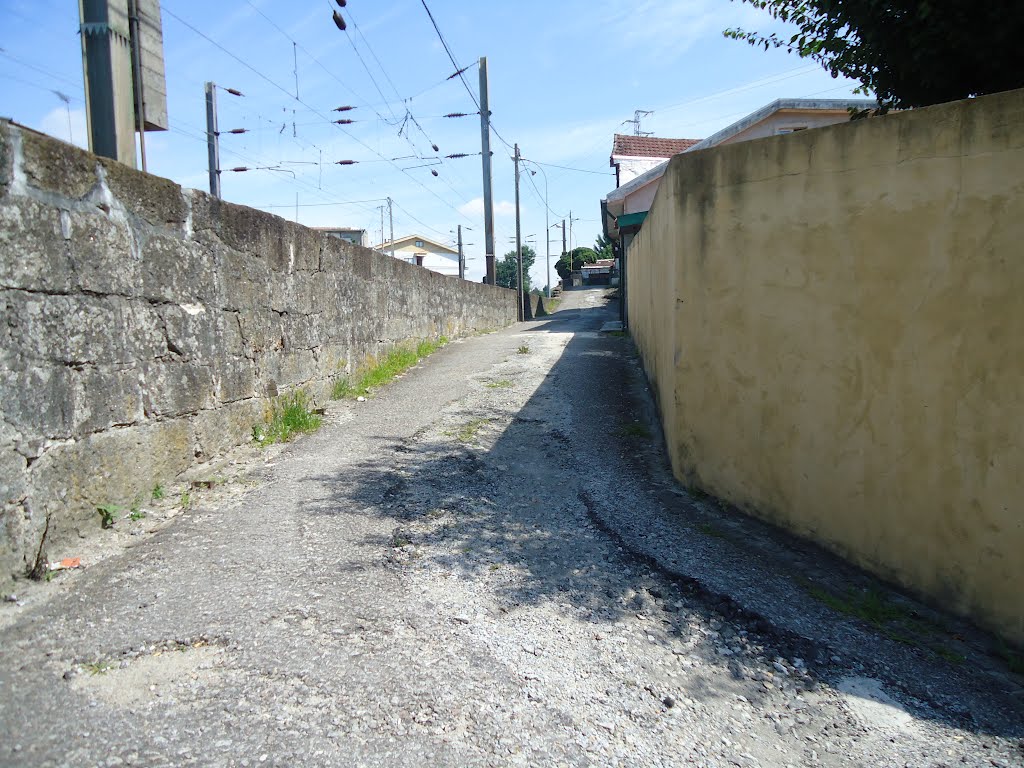 Rua Padre Joaquim das Neves-Rio Tinto by Belmiro Teixeira