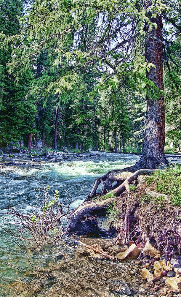 Pebble Creek by Brenton Cooper