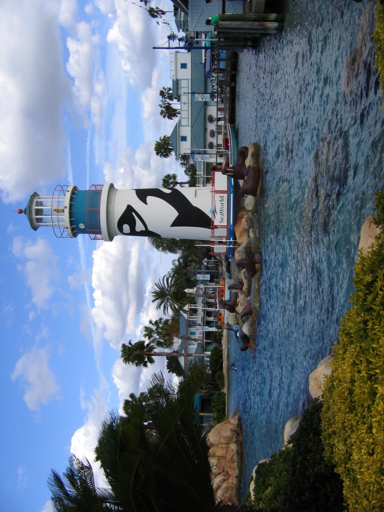 Sealions in the lighthouse by Adriana Monteiro