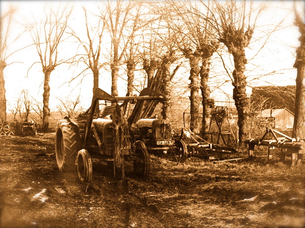 Old Tractors Fen Farmyard 1977 by Jerry Desmond