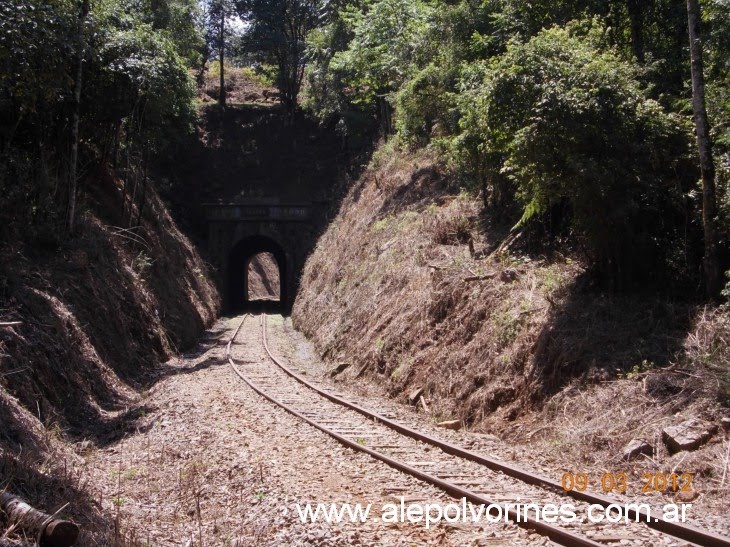 Pinheiro Preto - Tunel Ferroviario (www.alepolvorines.com.ar) by alepolvorines