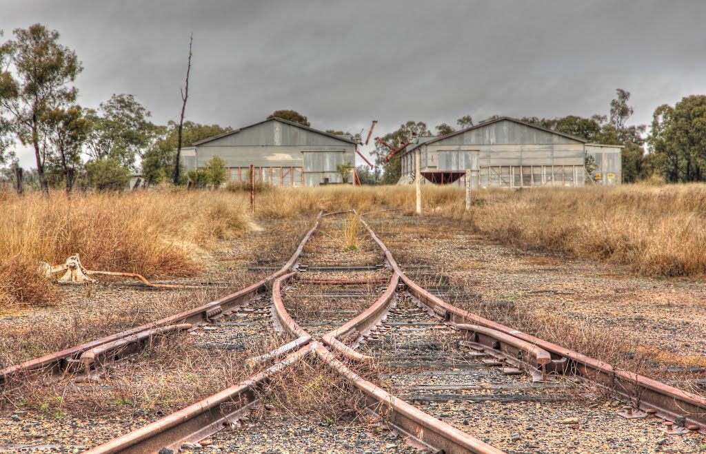 Disused Rail and Grain Loading Facility . Glenmorgan.Qld by nopo