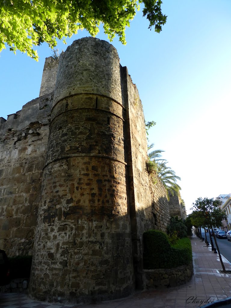 ""Castillo en Marbella" by ©Chaydeé