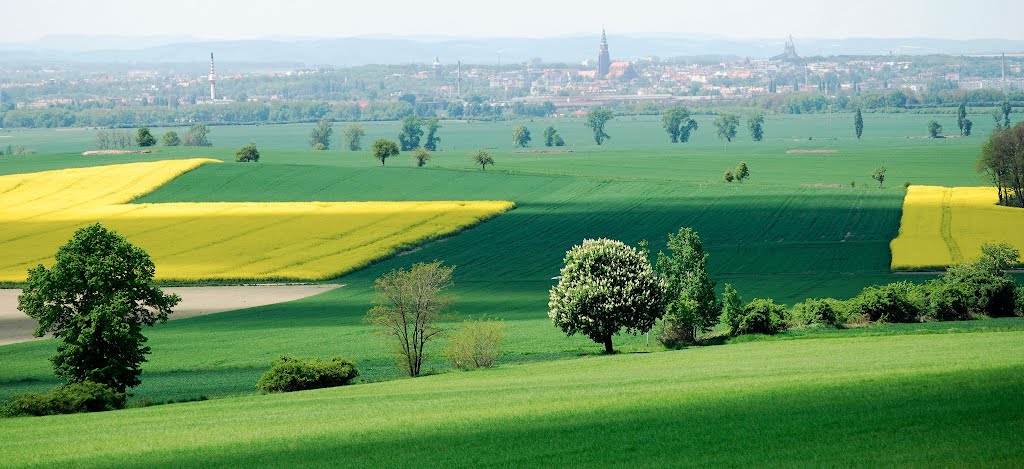 May landscape by fot. Slawek Ilski