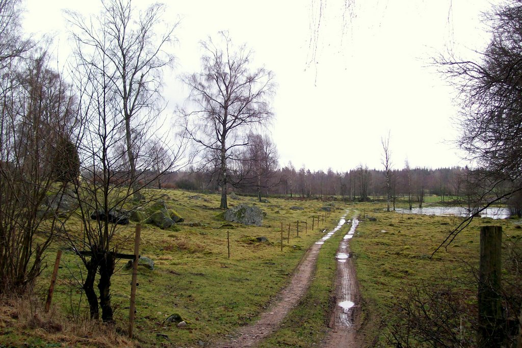 Regnmättat landskap, Bränteknuva by Spacebug