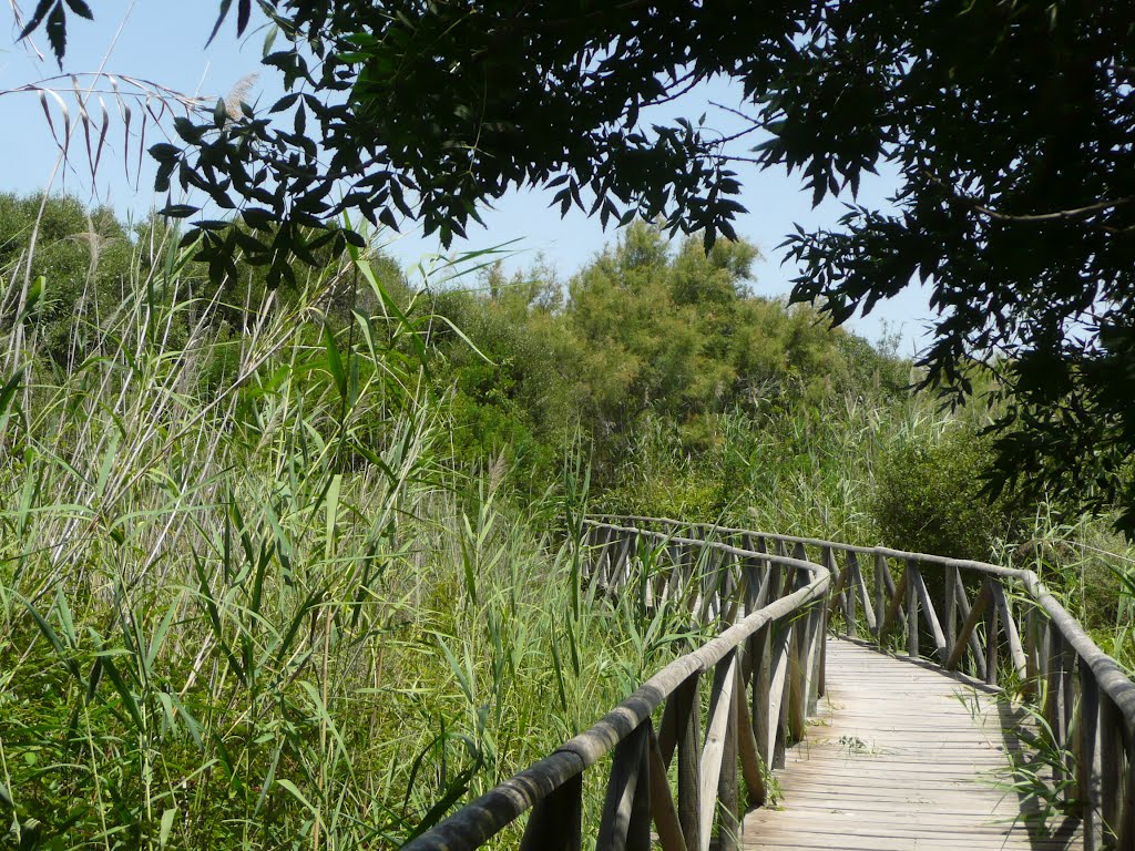 Estuario del Río Guadiaro by isapama