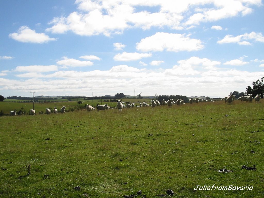 ... but coming back again :-) - NZ by JuliafromBavaria