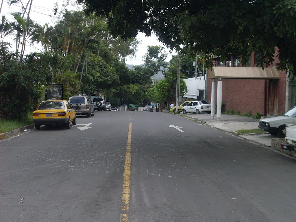 Avenida Las Magnolias by JMRAFFi