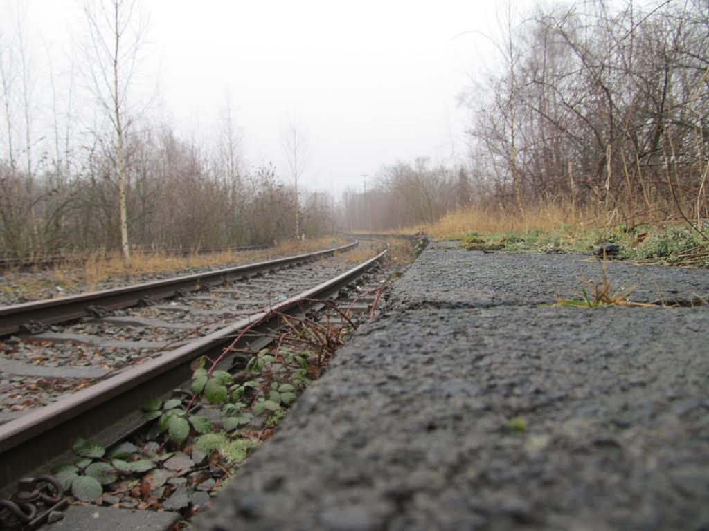 Achtung an der Bahnsteigkante by longsmart