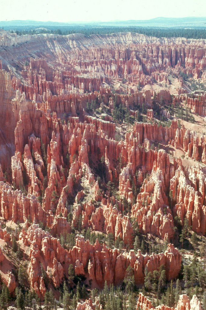 U208-Bryce Point, Bryce Canyon, UT by donwadkins