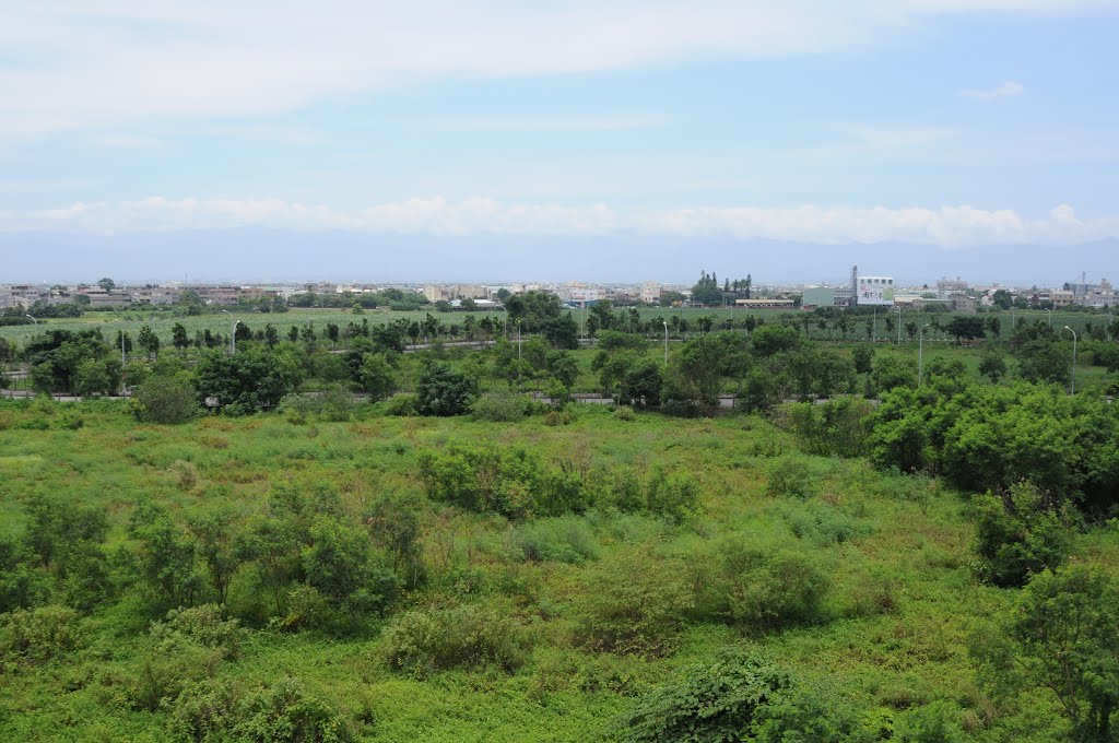 An eastern view from the plat home for the south bound of HSR Chiayi staion by gunmano_kumasan