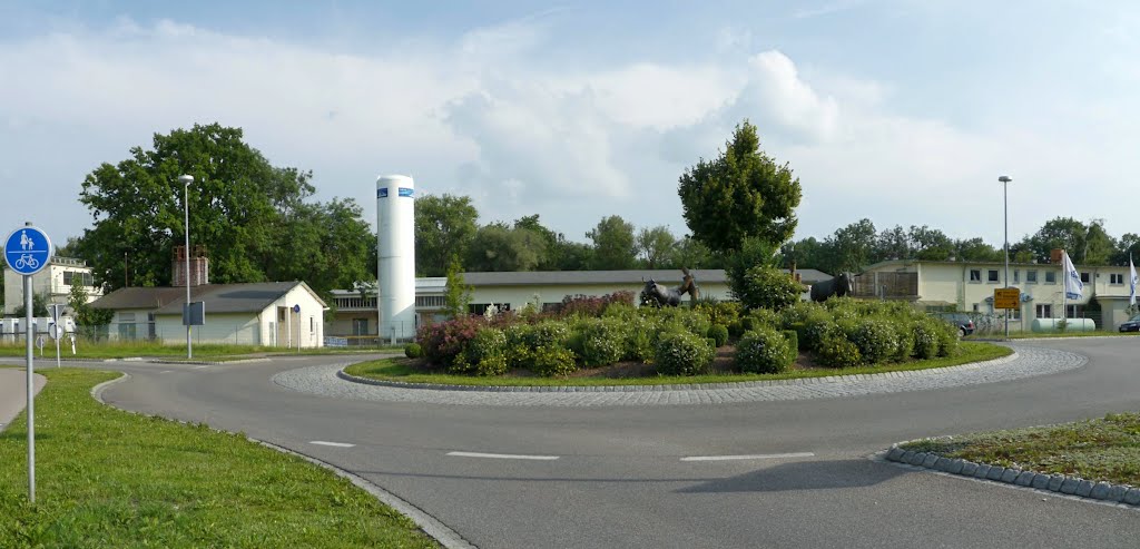 Kreisverkehr Thalfingen by Siegfried Epp