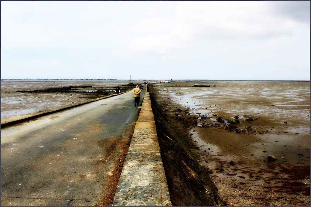 Le Passage du Gois by © cvandermeijden