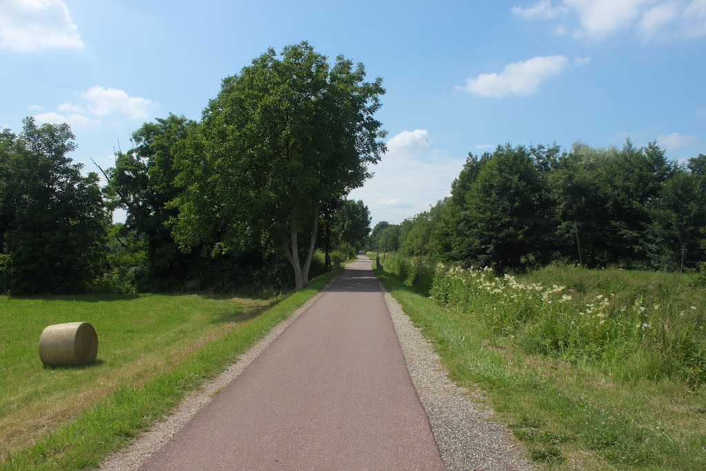 Piste des forts à Eckbolsheim by aurel.ebel