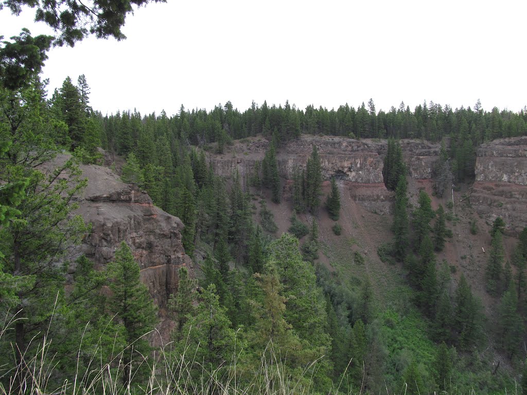 Steep Canyon Cliffs At Chasm Provincial Park Near Clinton BC Jul '12 by David Cure-Hryciuk