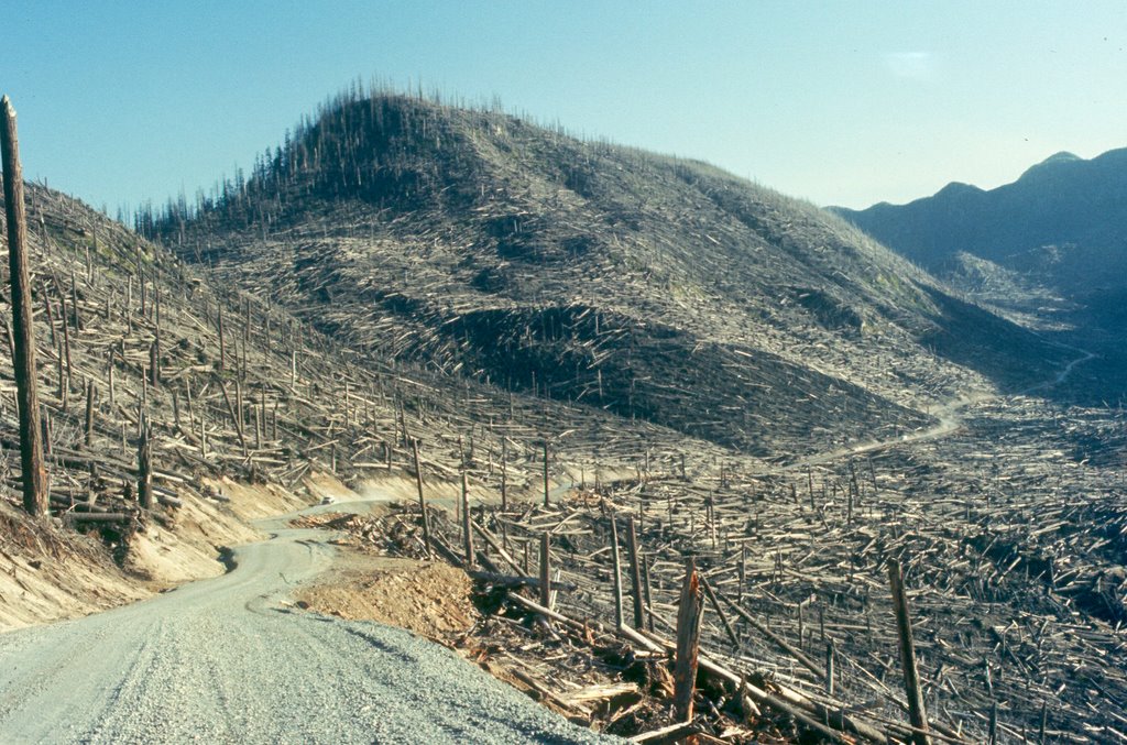 CA30-Road through blown down trees, Mt. St. Helens, WA by donwadkins