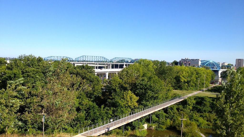 Coolidge Park/Walking Bridge/Tennessee River by Jackson David Reynolds