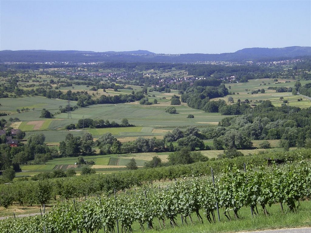 Blick durch die Ellmendinger Weinberge aufs obere Pfinztal by Augenstein