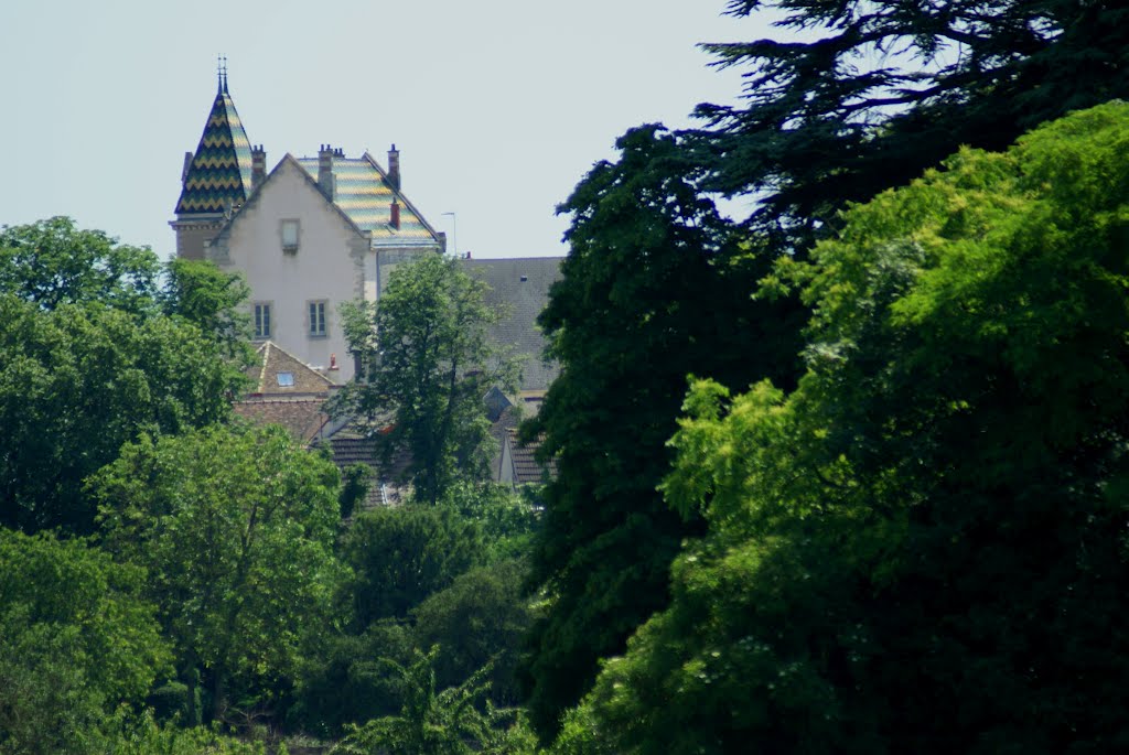 Meursault, France by Stone4teen (JoopKuipers)