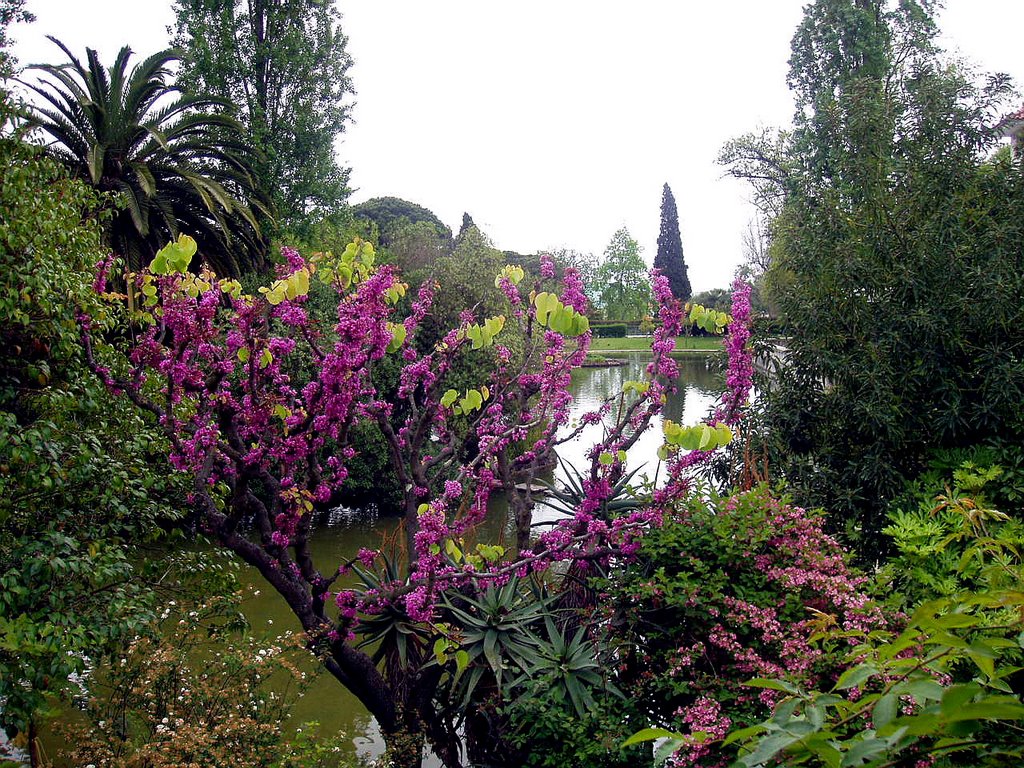 Parque Eduardo VII, Lisboa, Portugal. by Antonio Alba