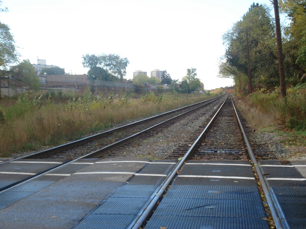 Looking north on the tracks on King by حمد ى