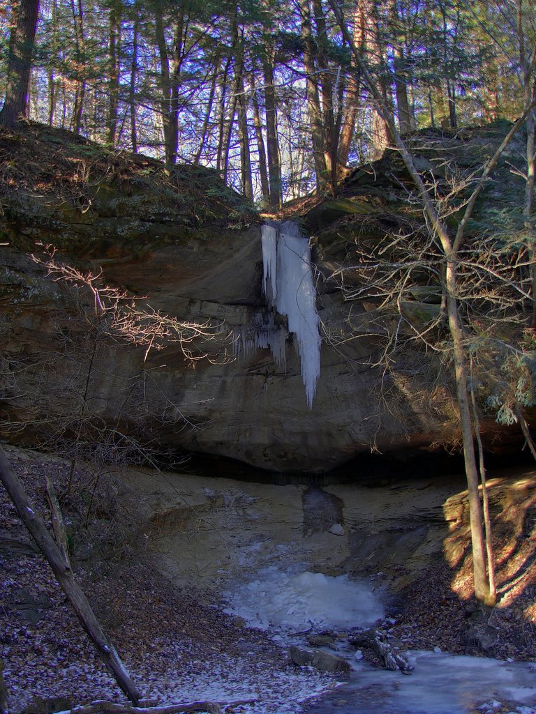 Turkey Run State Park by danhester