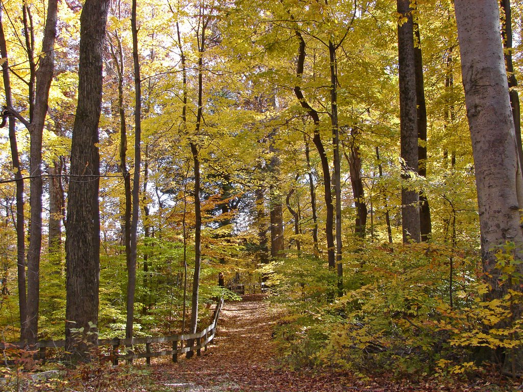 Shades State Park by danhester