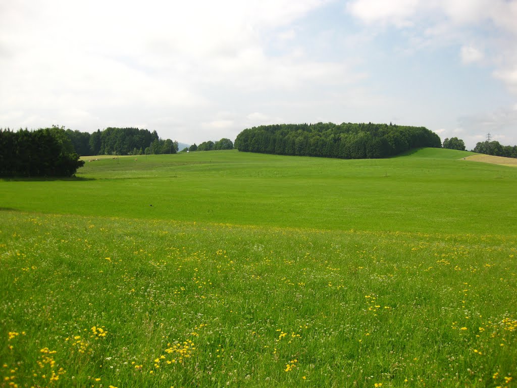 Landschaft Oberbayern bei Einhaus by AndiN