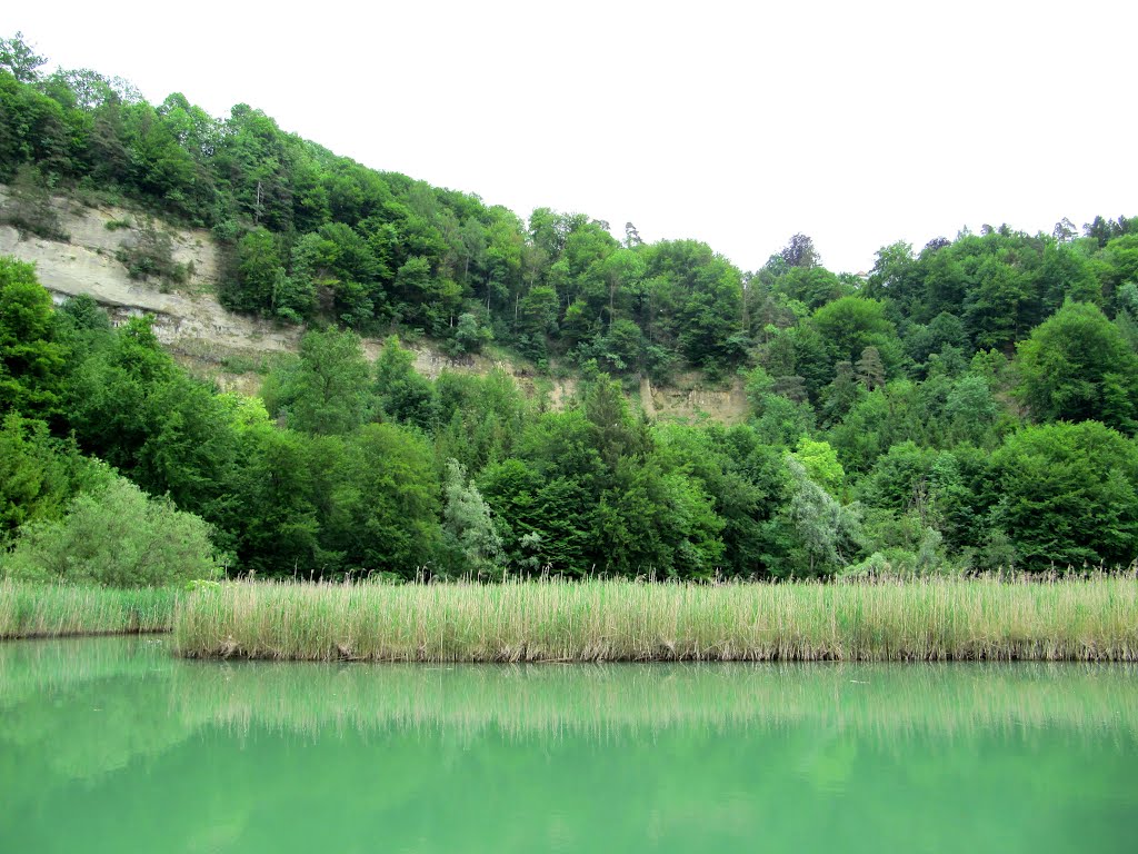 Lac de Pérolles by t.chris