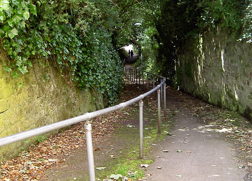 Shooters lane, Shaftesbury by thatchinator