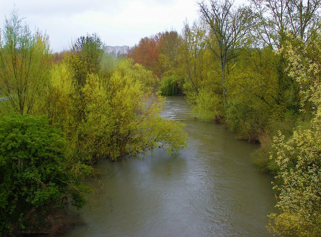 Pamplona: paseo del río Arga por Miluce by JLuis San Agustín