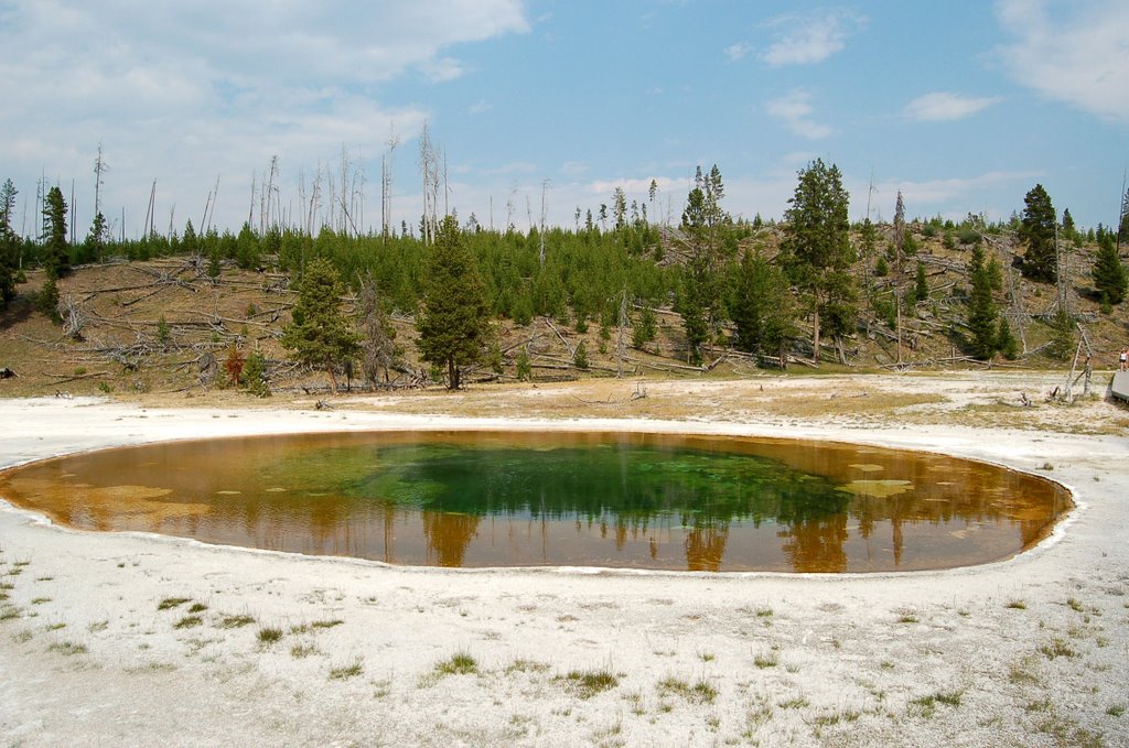 Beauty Pool by Herve Quatrelivre